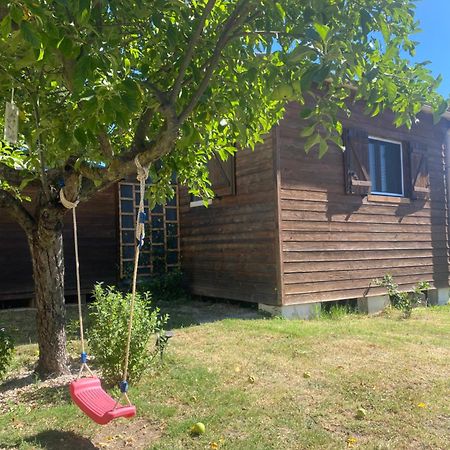Le Chalet Pignantais Avec Option Jacuzzi Pignans 외부 사진